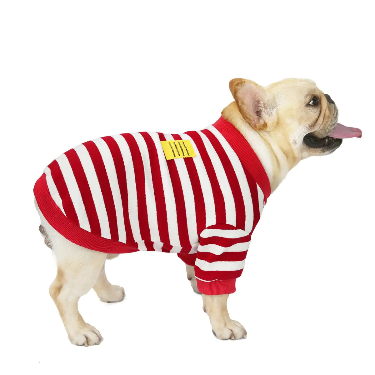Dog wearing a red and white striped outfit on a white background
