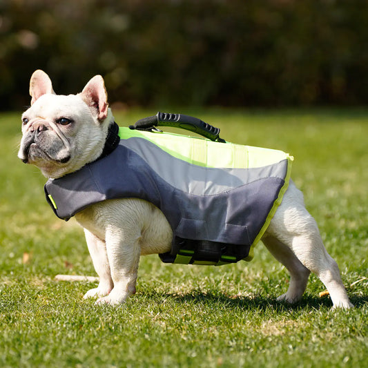 Dog wearing a gray and green jacket on grass