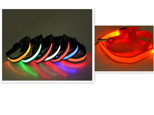 Set of colorful LED dog collars on a dark background with an inset showing a red LED dog leash.