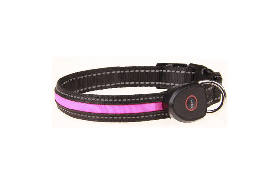 Black dog collar with a pink reflective strip on a white background