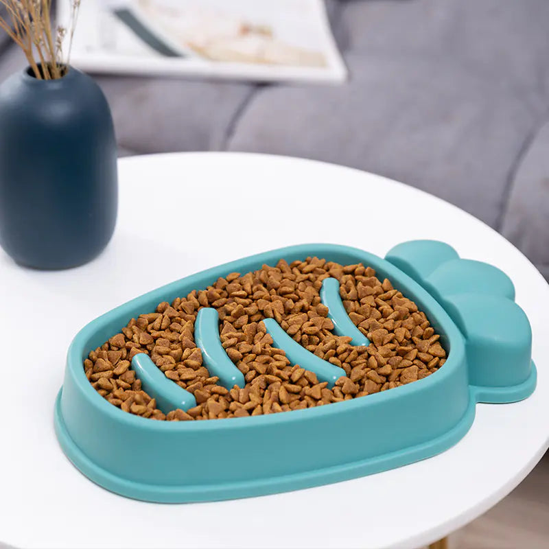 Teal pet food dish with brown kibble on a white surface