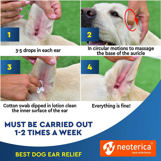 Step-by-step guide on cleaning a dog's ears with Neoterica product, featuring close-up images of ear care.