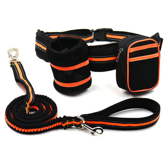 Black and orange dog leash, collar, and waist bag set on a white background