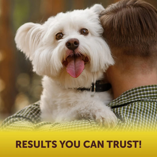 Person holding a small white dog with a blurred background and text 'RESULTS YOU CAN TRUST!'