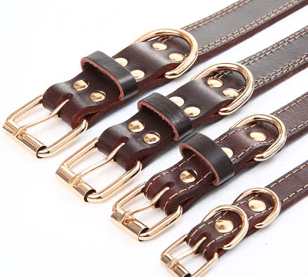 Three brown leather dog collars with gold buckles on a white background