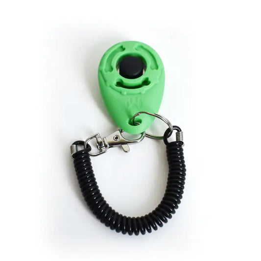 Green and black keychain device with coiled cord on a white background