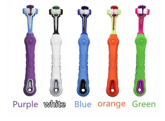 Five colorful toothbrushes with labeled colors on a white background