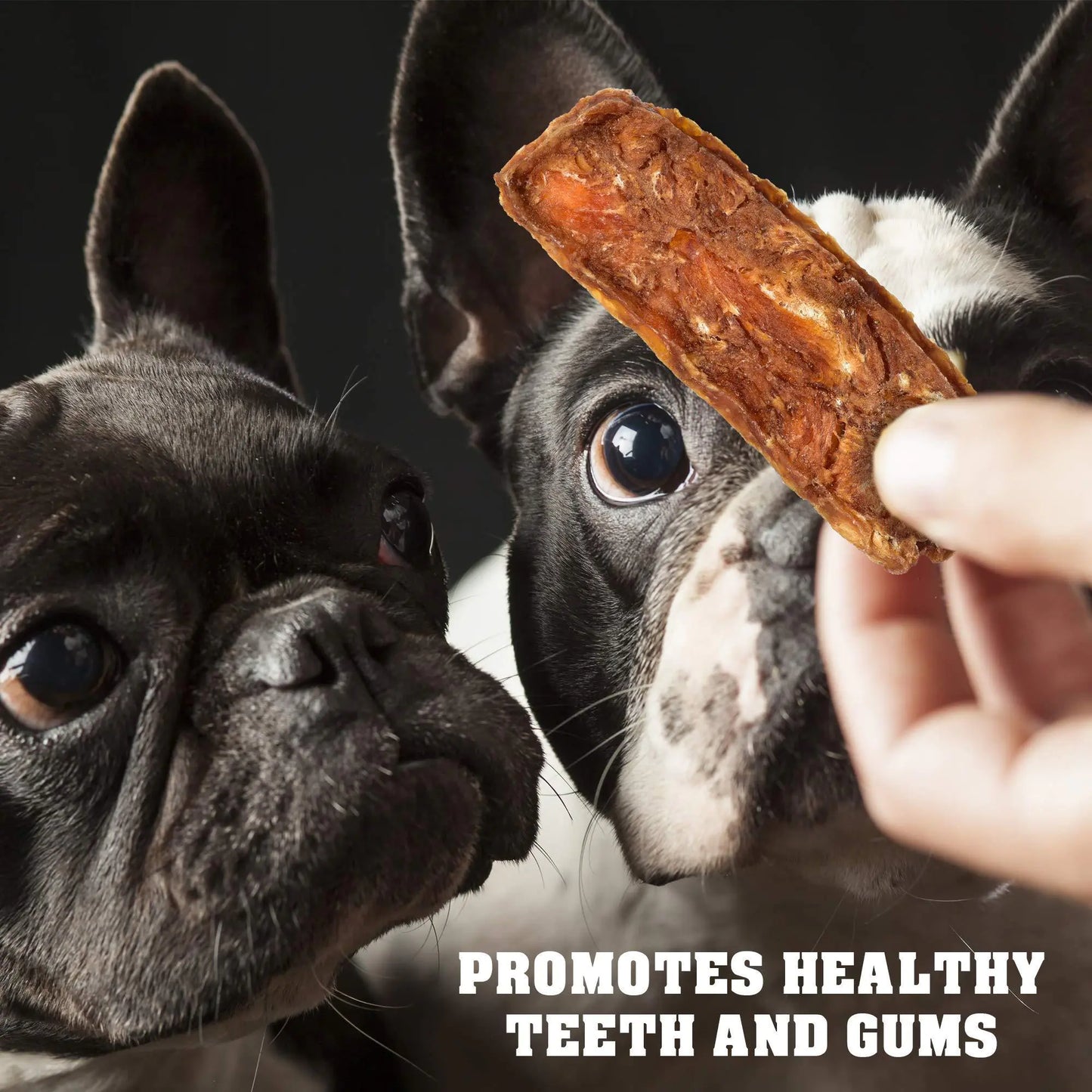 Two dogs looking at a treat held by a hand with text promoting dental health.