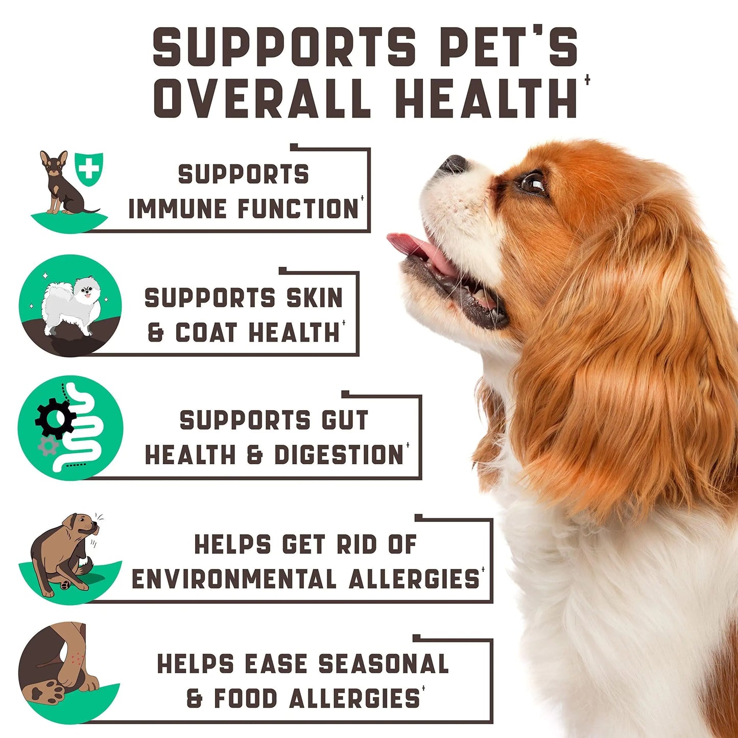 Dog with health benefits text on a white background