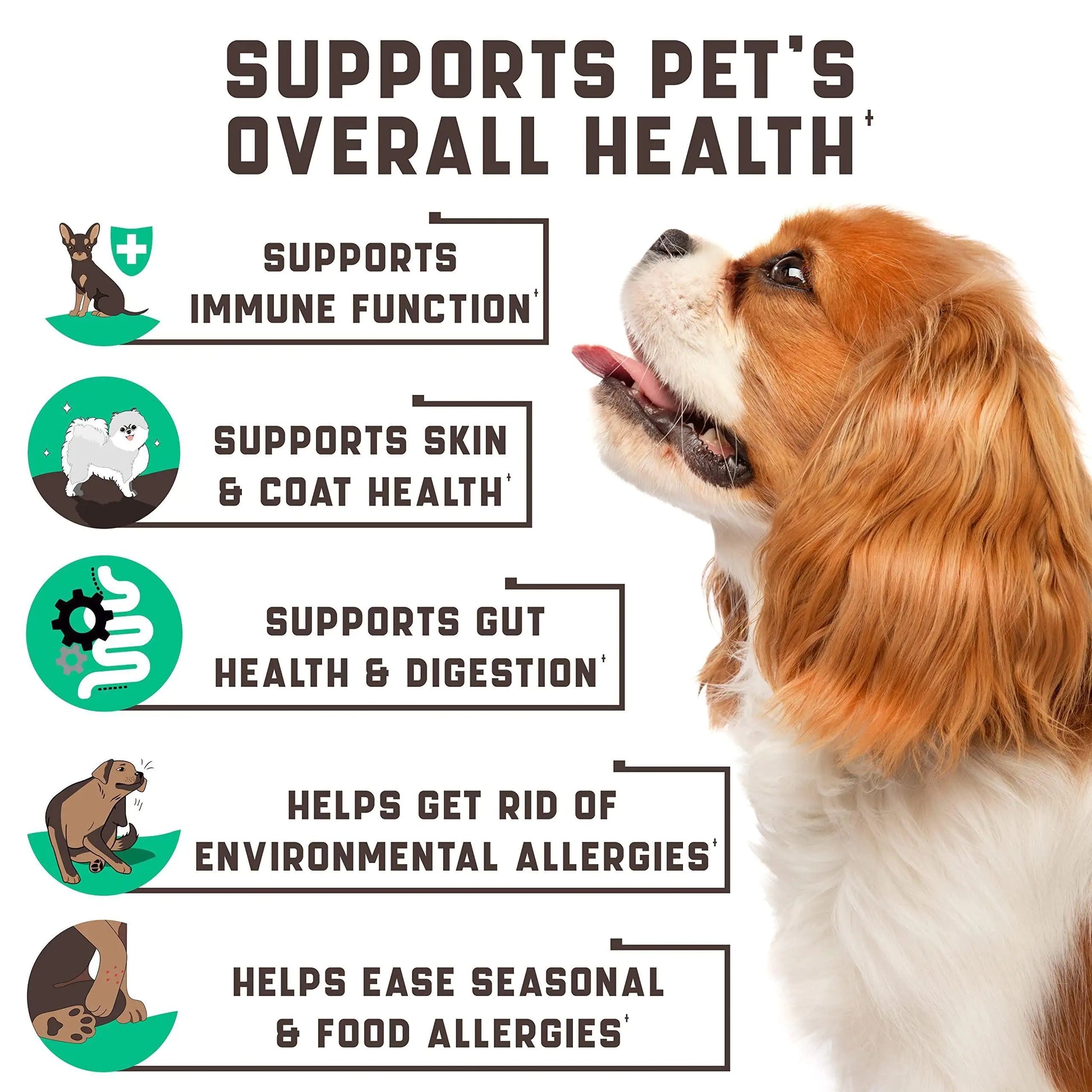 Dog with health benefits text on a white background