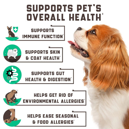 Dog with health benefits text on a white background