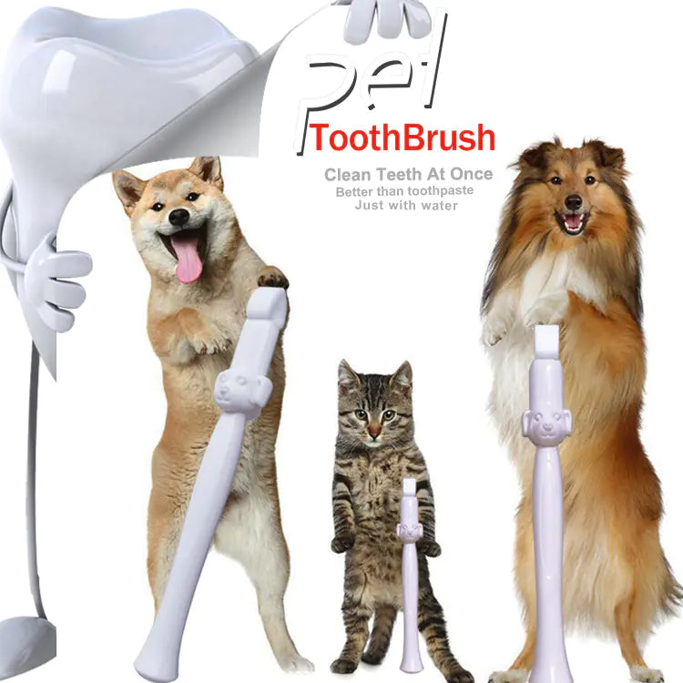 Portable Pet Tooth Cleaning Wipes for Easy Hygiene