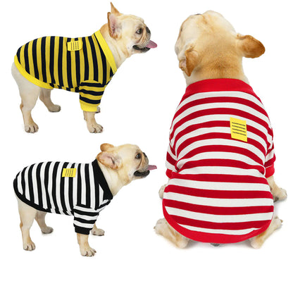 Three dogs wearing striped outfits on a white background
