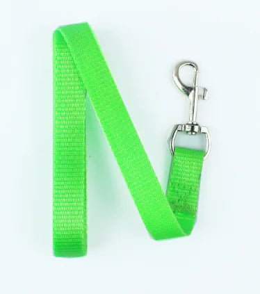 Green dog leash with a metal clip on a white background