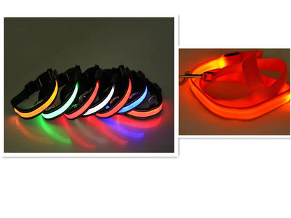 Set of colorful LED dog collars on a dark background with an inset showing a red LED dog leash.