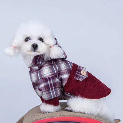 Small white dog wearing a plaid shirt and red vest on a light gray background