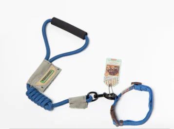 Blue dog leash with a clip on a white background