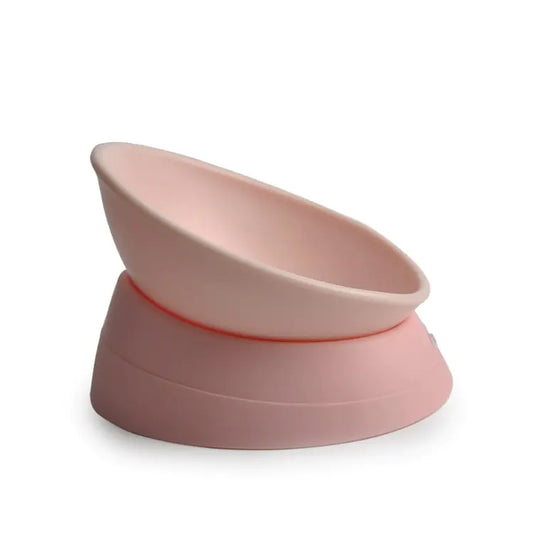 Pink pet bowl on a white background