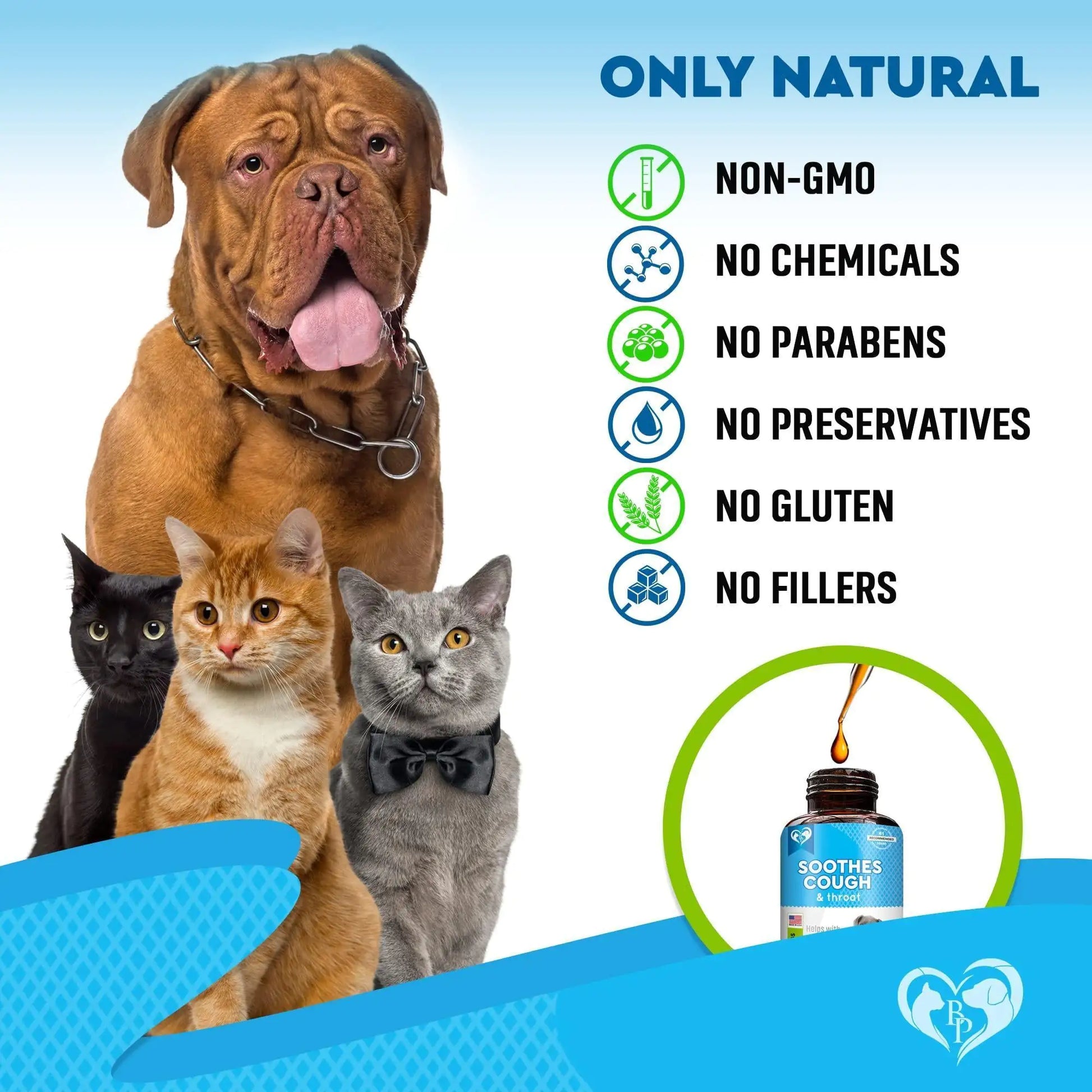 Group of dogs and cats with a bottle of natural pet supplement on a blue background