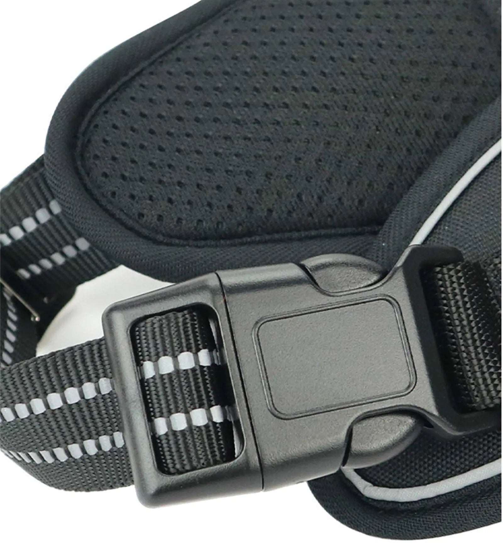 Close-up of a black dog collar with a metallic buckle on a white background
