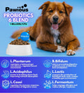 Probiotics for Dogs Digestive Enzymes Gut Flora Digestive Health Immune System