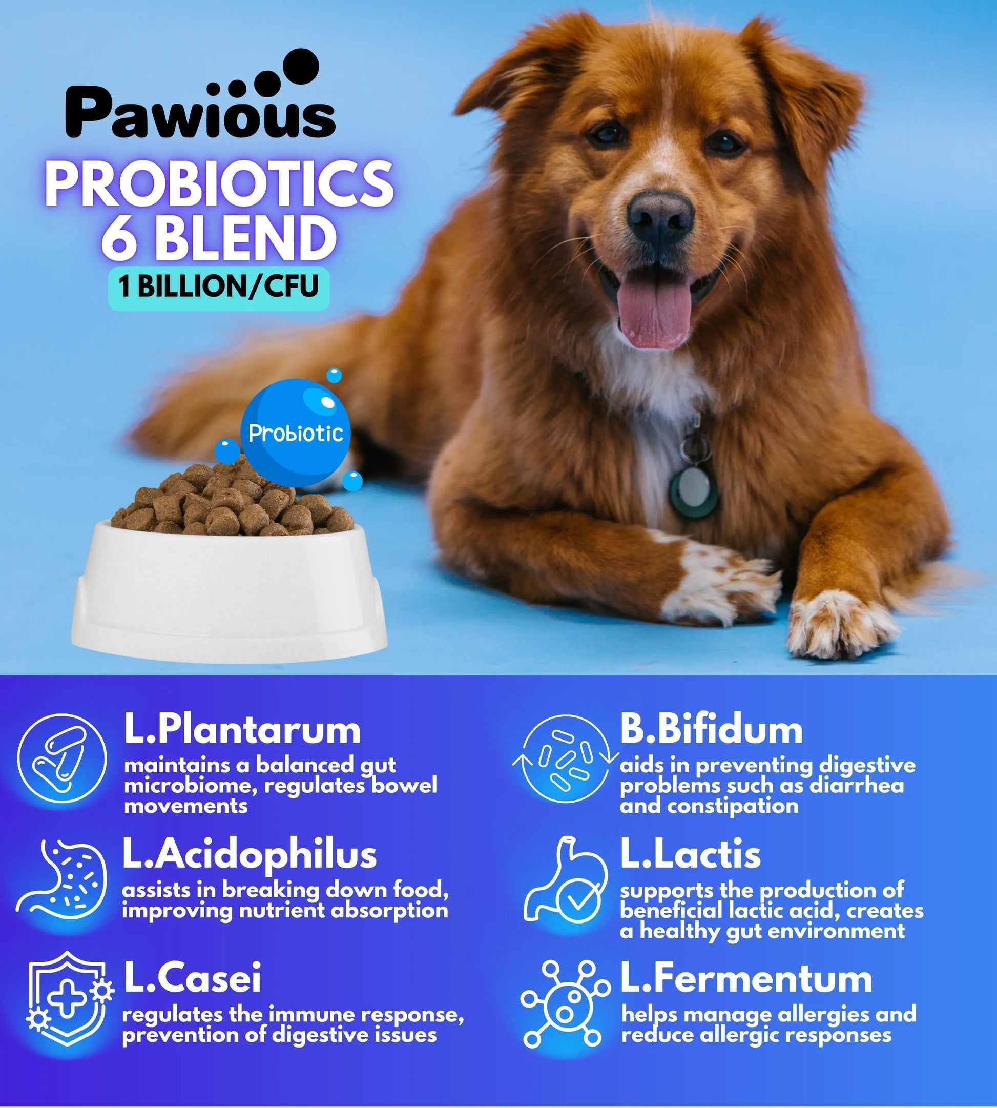 Dog with a bowl of food and Pawious Probiotics 6 Blend packaging on a blue background