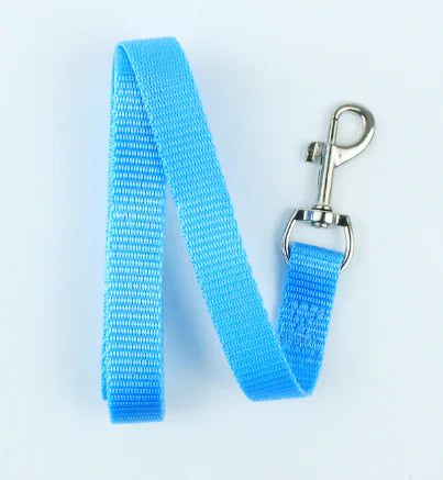 Blue dog leash with metal clip on a white background