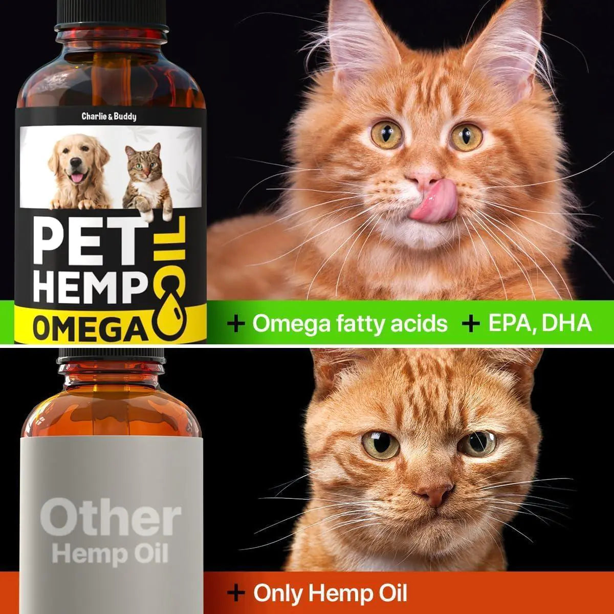 Pet hemp oil product with two cats and a black background