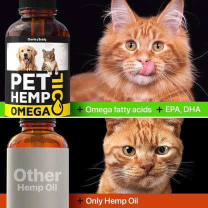 Pet hemp oil product with two cats and a black background