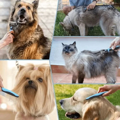 Collage of dogs and cats being groomed with a brush.