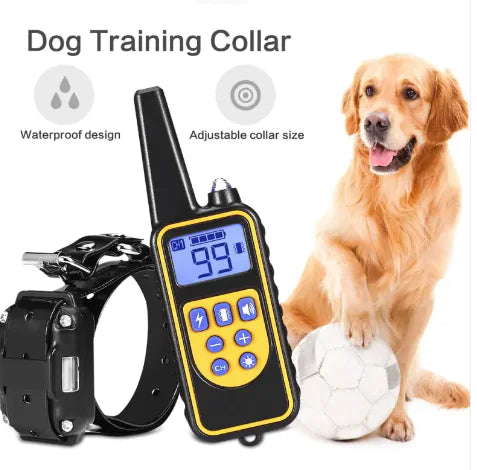 Dog training collar with remote control and dog holding a ball on a white background