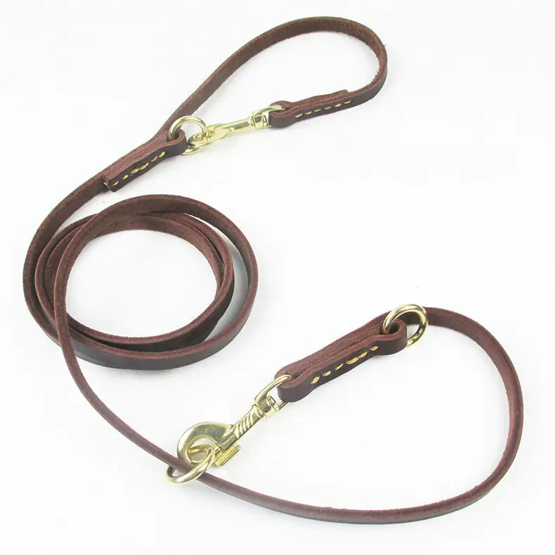 Brown leather dog leash with gold hardware on a white background