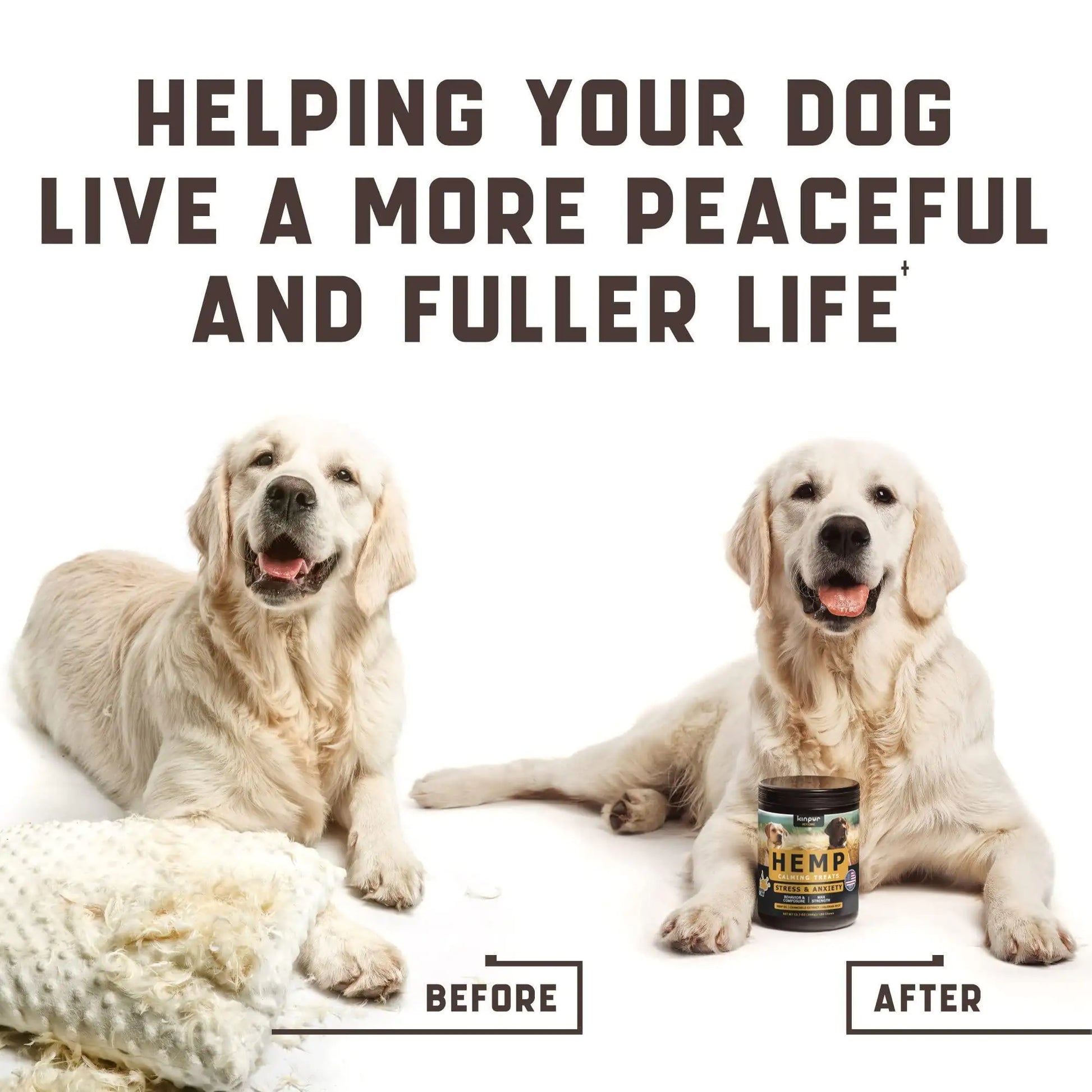 Two dogs sitting side by side with a container labeled 'Hemp' and text about helping dogs live a more peaceful and fuller life.