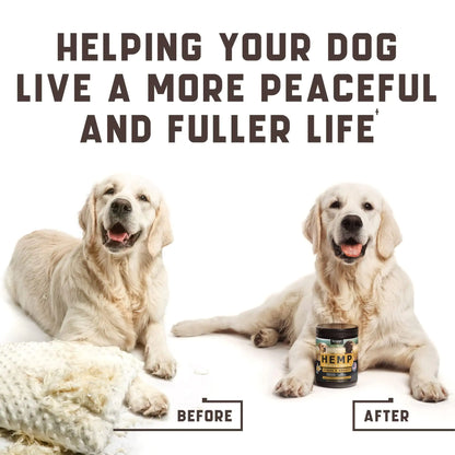 Two dogs sitting side by side with a container labeled 'Hemp' and text about helping dogs live a more peaceful and fuller life.