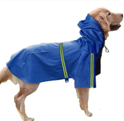 Dog wearing a blue raincoat on a white background