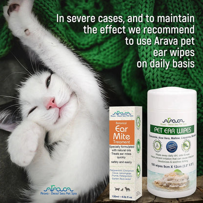 Cat with Arava pet ear care products on a green textured background