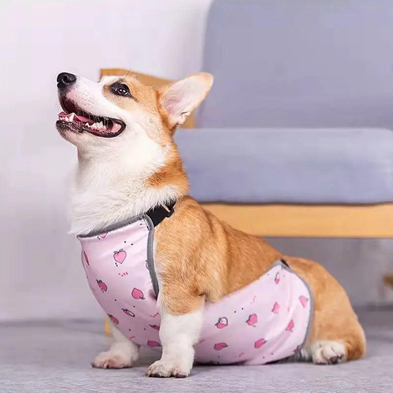 Dog wearing a pink outfit with heart patterns on a light background