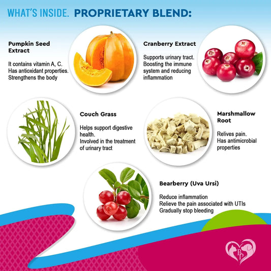 Health supplement ingredients with images and descriptions on a colorful background
