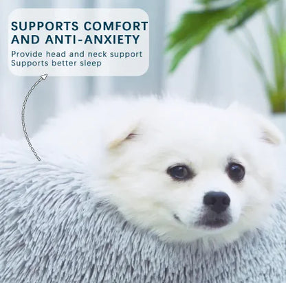 White dog lying on a fluffy pillow with text about comfort and anti-anxiety support.