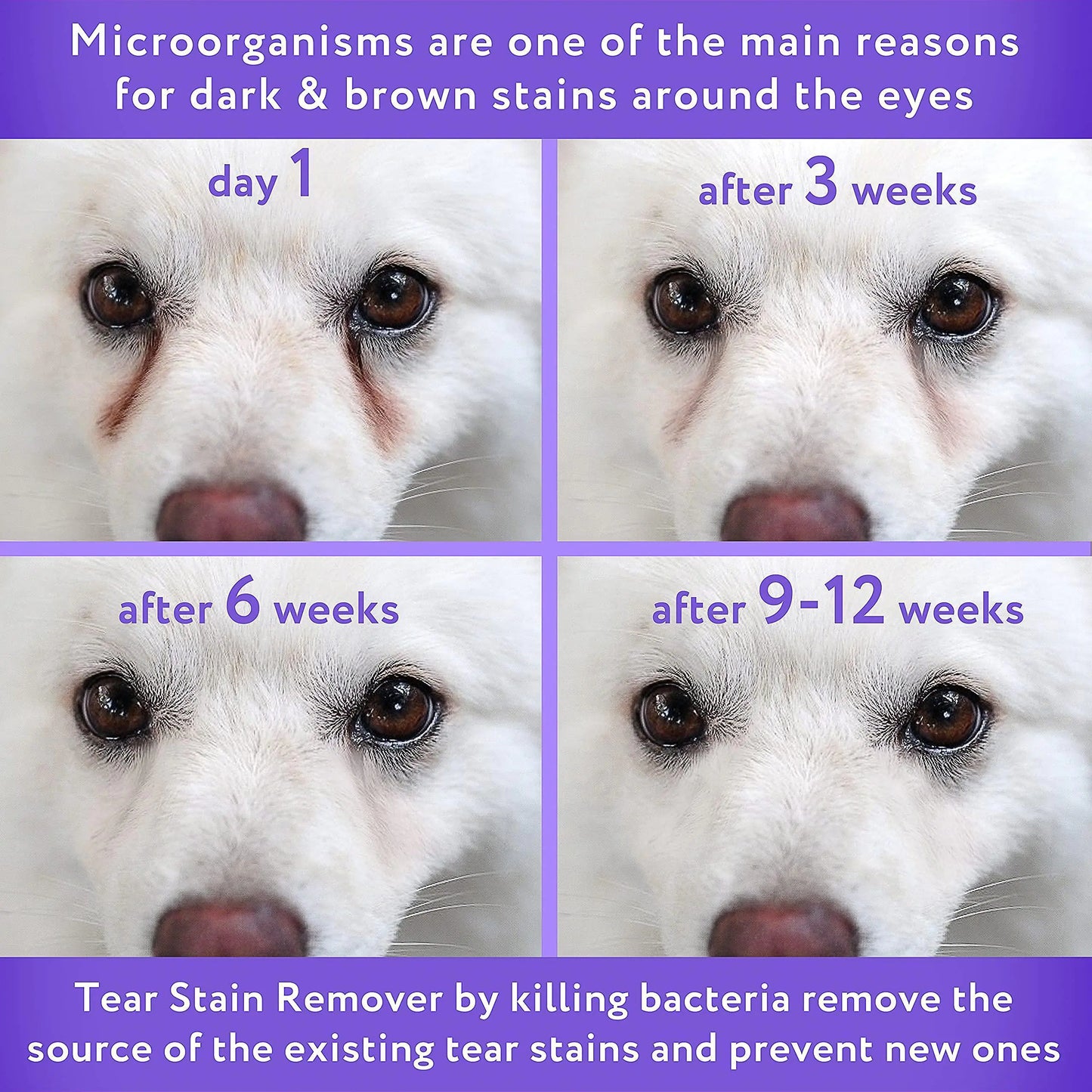 Collage of a dog's face with text about tear stain removal over time.