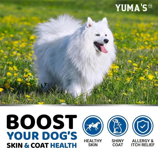 White dog in a field of yellow flowers with Yuma's branding and product benefits text.