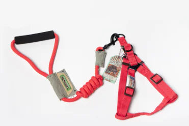 Red dog harness and leash set on a white background