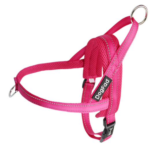 Pink dog harness with a leash on a white background