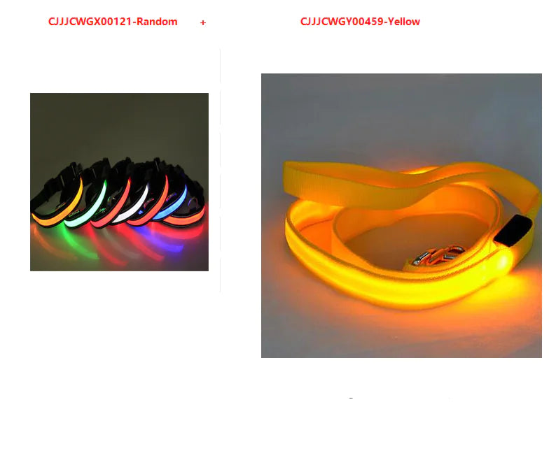 LED Dog Leash with Fluorescent Dog Collar