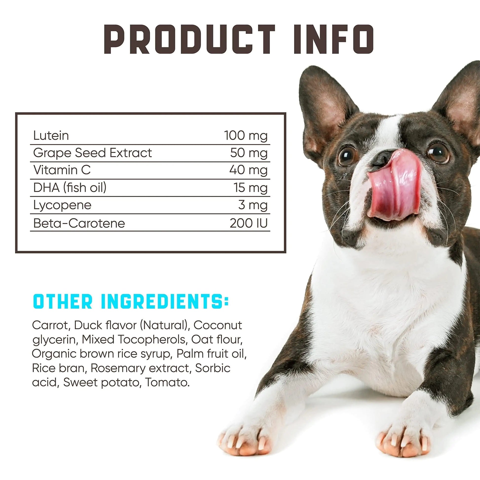 Dog with product information panel on a white background
