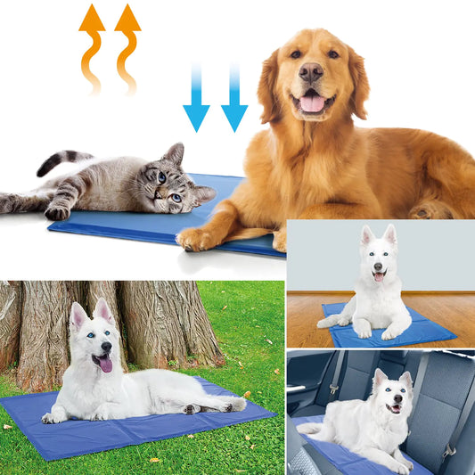 Collage of dogs, cats, and a white dog on a blue cooling pad with temperature graphics.