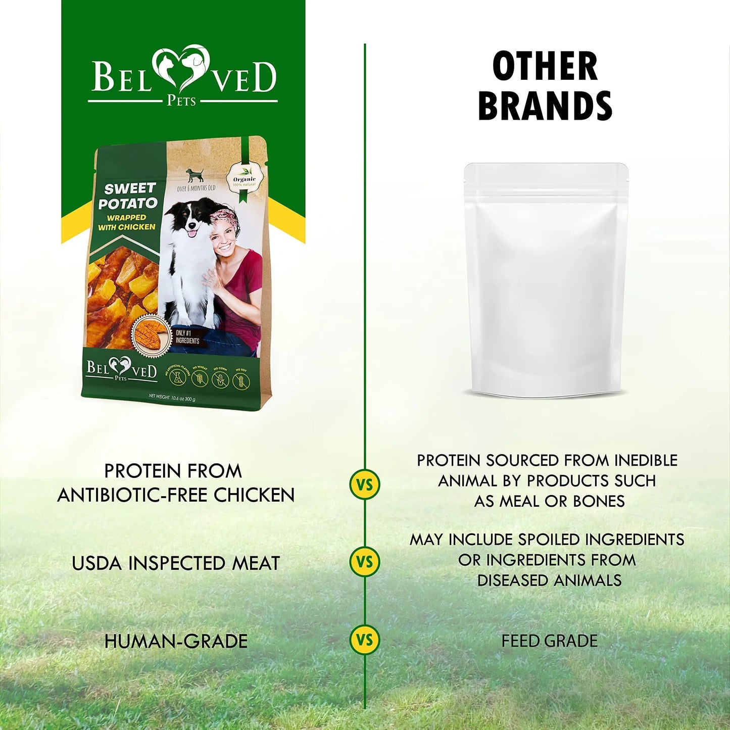 Comparison chart between Beloved Pets dog food packaging and 'Other Brands' on a grassy background.