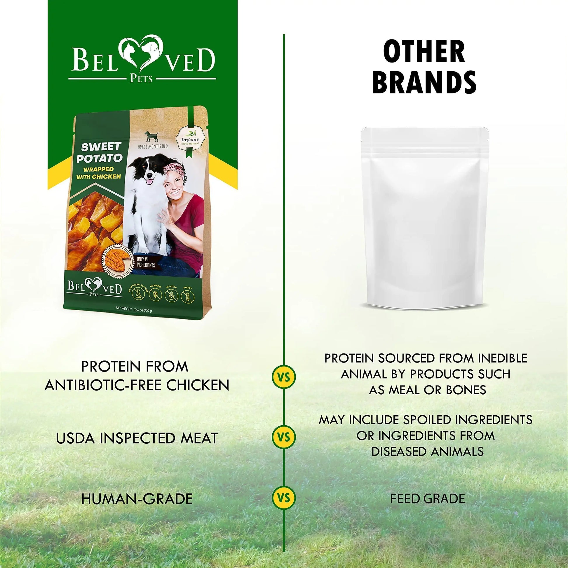 Comparison chart between Beloved Pets dog food packaging and 'Other Brands' on a grassy background.