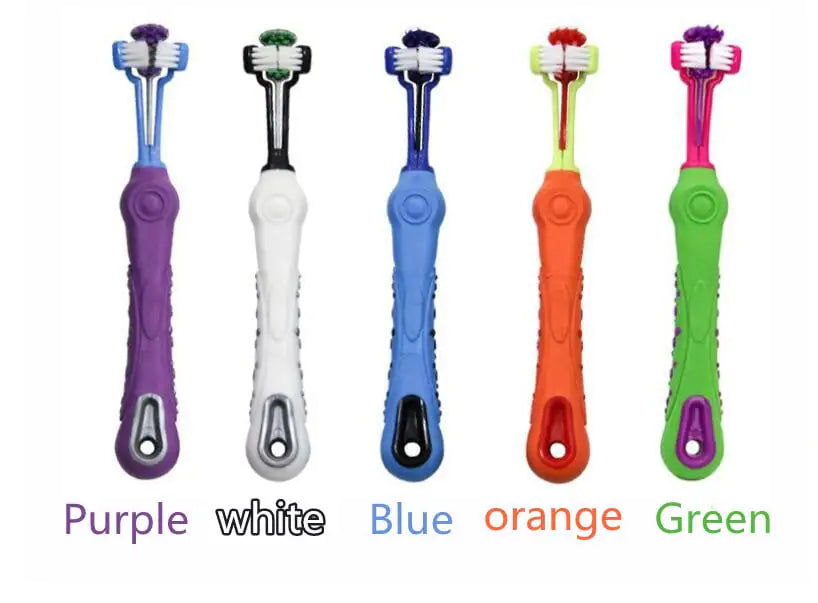 Five colorful toothbrushes with labeled colors on a white background