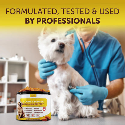 Dog being examined by a veterinarian with a product labeled 'Anal Gland Support' on a yellow background.